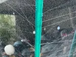 PVC Sprinkler Hose